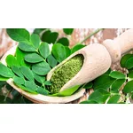 Moringa - właściwości, zastosowanie, przeciwwskazania