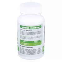 MedFuture Ginkgo Biloba 120 mg ekstrakt, 120 tabletek