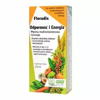 Floradix Odporność i Energia - Syrop multiwitaminowy, 250 ml
