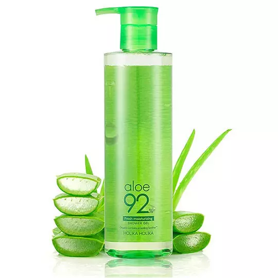 aloe vera plant pot size Aloe Vera Plant 25-30cm in Height main image 0