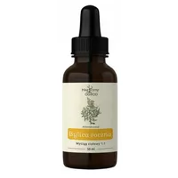 Nanga - bylica roczna, nalewka, 50ml