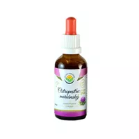 Salvia - krople z ostropestu plamistego, bez alkoholu, 50ml