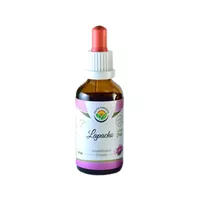 Salvia - nalewka z kory drzewa lapacho, 50ml