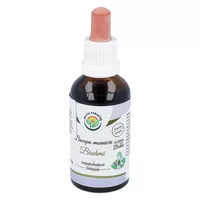 Salvia - krople z bacopa, bez alkoholu, 50ml