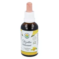 Salvia - krople z dziurawca zwyczajnego, bez alkoholu, 50ml