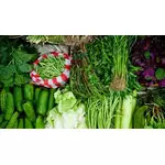 Dieta na oczyszczanie jelit - poznaj jej najważniejsze zasady