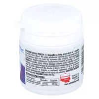 Activlab EnteroBiotix Plus, 10 kapsułek