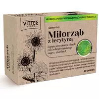 Vitter Herbs miłorząb z lecytyną - tabletki, 60 sztuk