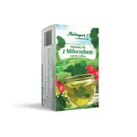 Herbatka Z MIŁORZĘBEM GINKGO 3,5g 20toreb.