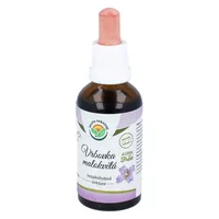Salvia - krople wierzbownica, wspiera układ moczowo-płciowy, 50ml