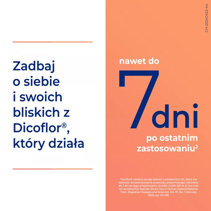 Dicoflor 6, 20 kapsułek