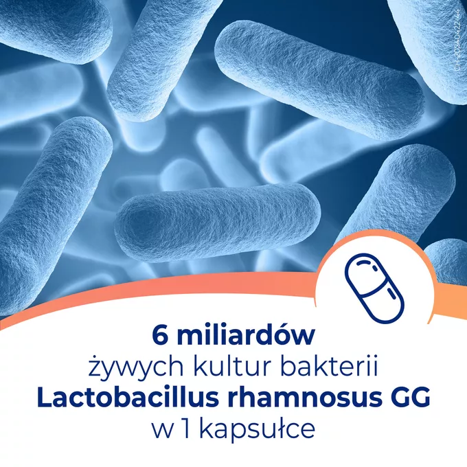 Dicoflor 6, 20 kapsułek