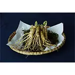 Jakie zioła na pamięć i koncentracje są najlepsze?