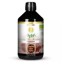 JOY DAY Premium - probiotyk, kurkuma, imbir, pieprz, 500ml