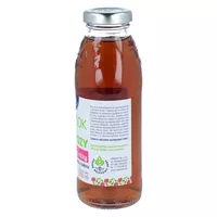 Oleofarm - sok z brzozy z naparem z owoców dzikiej róży, bez cukru, 300 ml