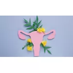 Mięśniaki macicy naturalne sposoby leczenia