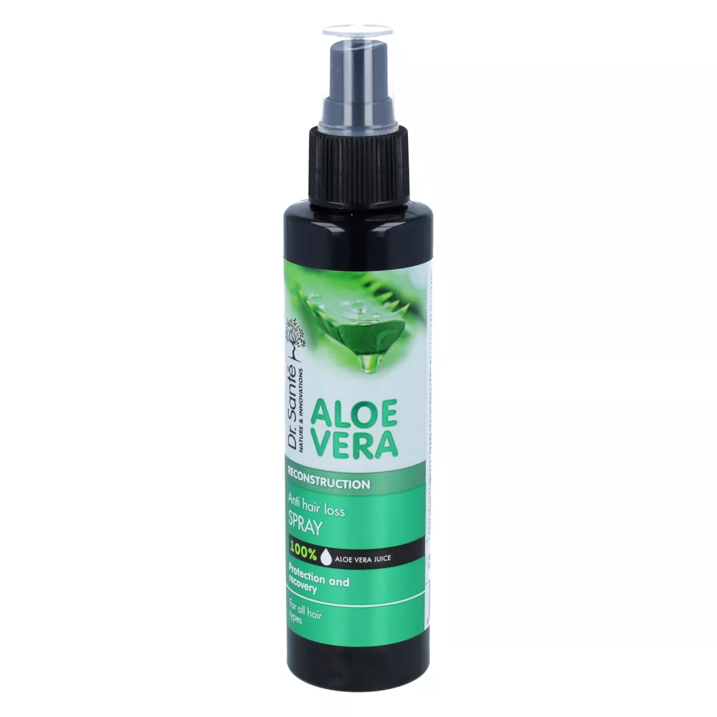 aloe vera pflanze im zimmer Aloe vera - Aloe vera