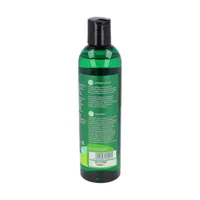 Vis Plantis Basil Element - szampon wzmacniający przeciw wypadaniu włosów, bazylia + NMF, 300 ml