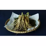 Żeń-szeń - rodzaje, właściwości, dawkowanie i przeciwwskazania