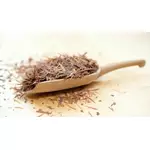 Pau d'arco (lapacho) - właściwości, zastosowanie, przeciwwskazania