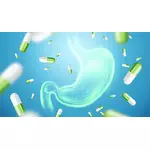 Jaki probiotyk przy antybiotyku i kiedy podawać - przed czy po?