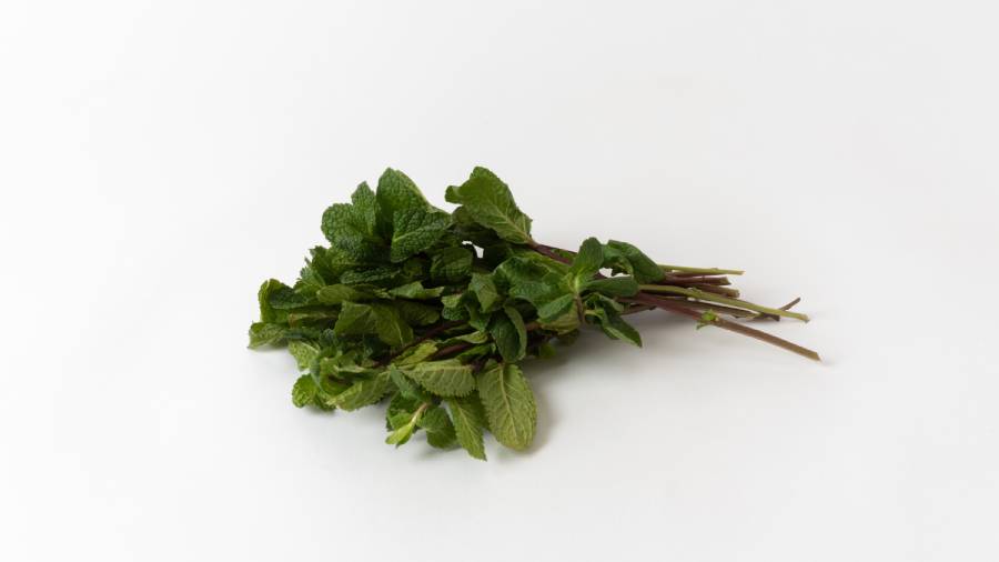 Mięta - przyprawy na odchudzanie | iZielnik.pl