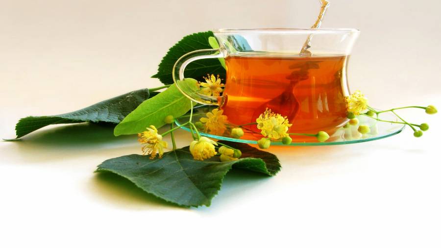 Herbatka z lipy w filiżance. Lipa - właściwości lecznicze i zastosowanie | iZielnik.pl