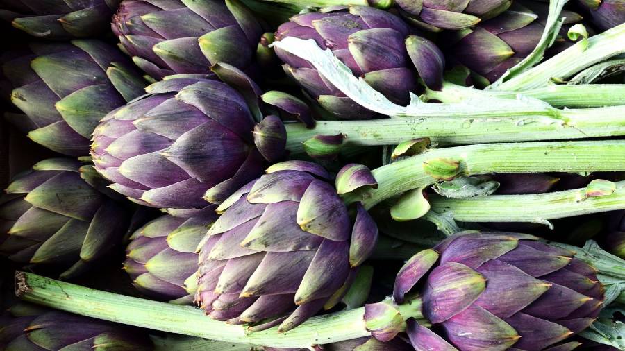 Karczochy - jakie są ich właściwości lecznicze i skutki uboczne? | iZielnik.pl