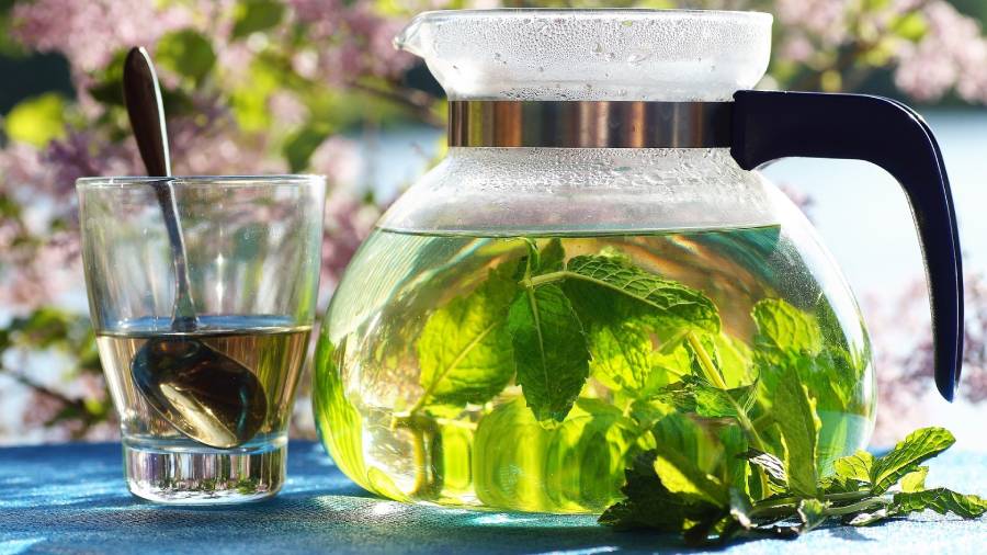 Herbata z mięty, czyli jak parzyć miętę? | iZielnik.pl