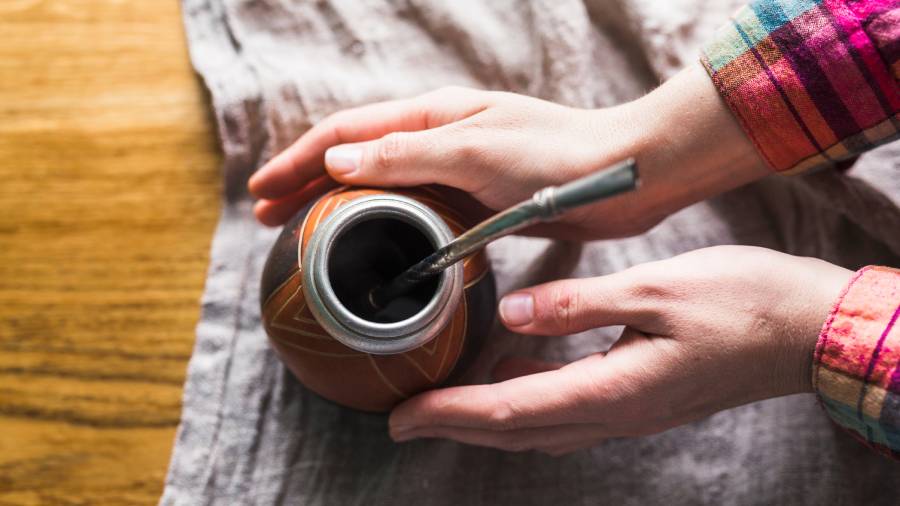 Yerba mate - moc cudownego ziela | iZielnik.pl