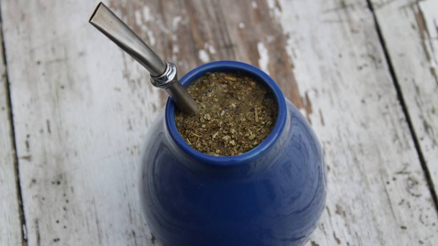 Yerba mate - moc cudownego ziela | iZielnik.pl