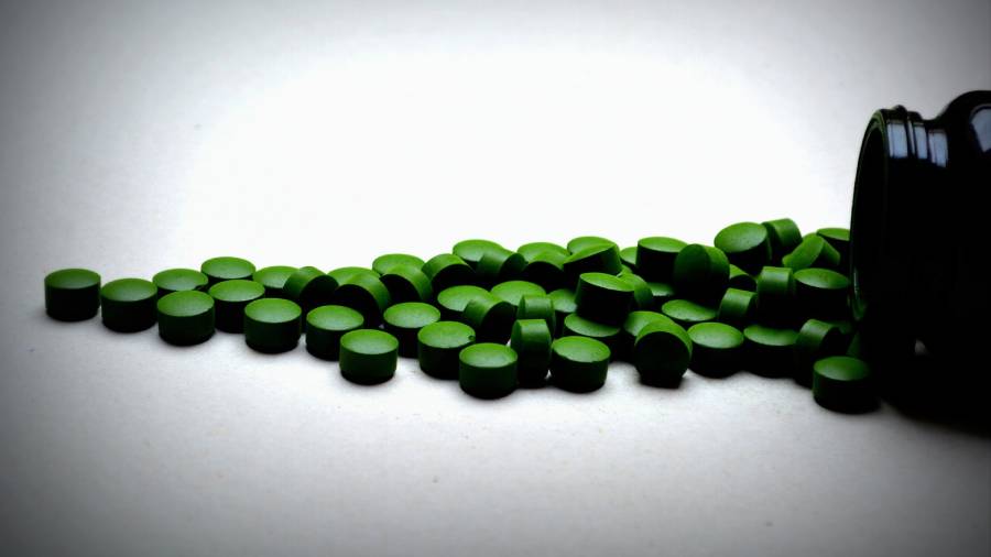 Kolagen w diecie wegetariańskiej | iZielnik.pl