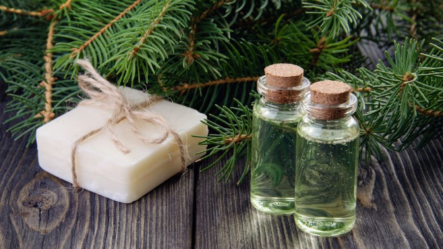 Olejek świerkowy – właściwości i zastosowanie | iZielnik.pl