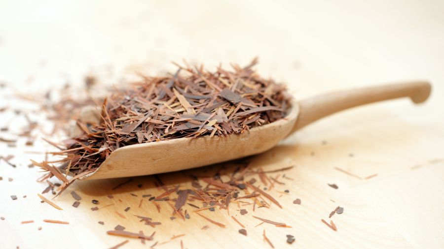 Pau d'arco (lapacho) - właściwości, zastosowanie, przeciwwskazania | iZielnik.pl