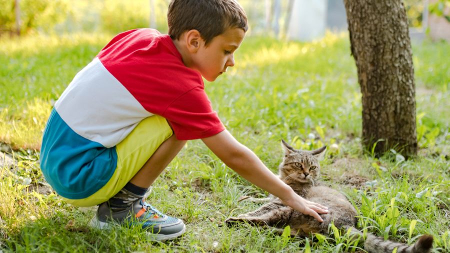 Pasożyty ludzkie - rodzaje, objawy, jak się ich pozbyć? | iZielnik.pl