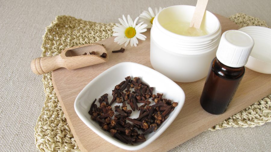 Jak zrobić domowy środek na komary? | iZielnik.pl