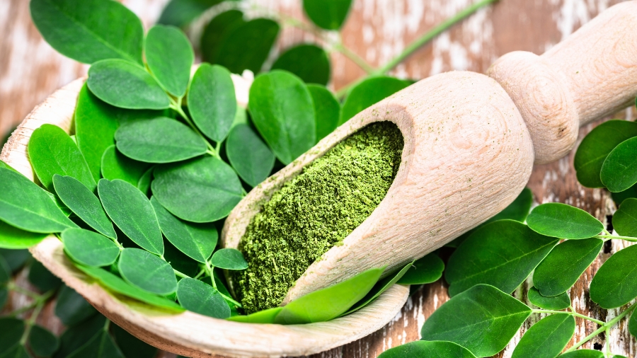 Liście moringi oraz sproszkowana moringa