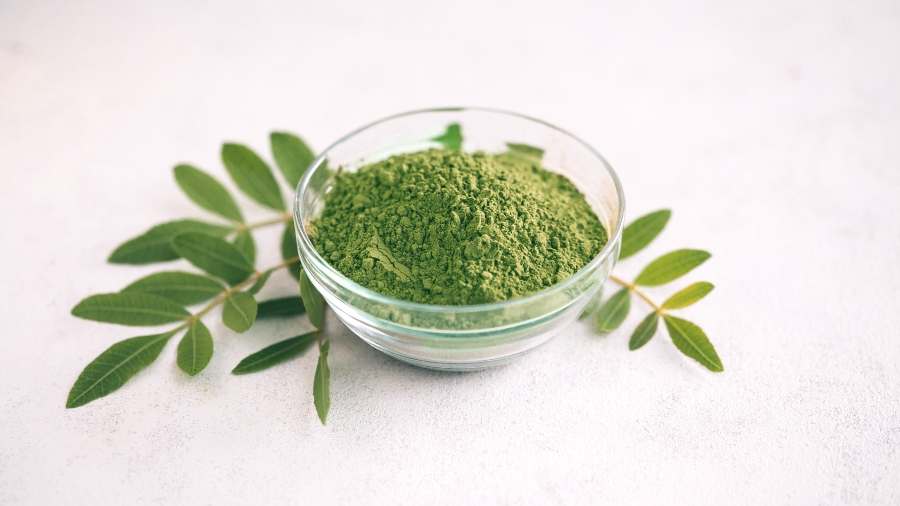 Sproszkowane ziele moringi