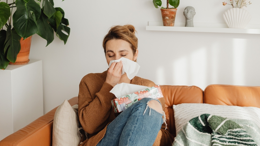 Zioła na alergię - katar sienny