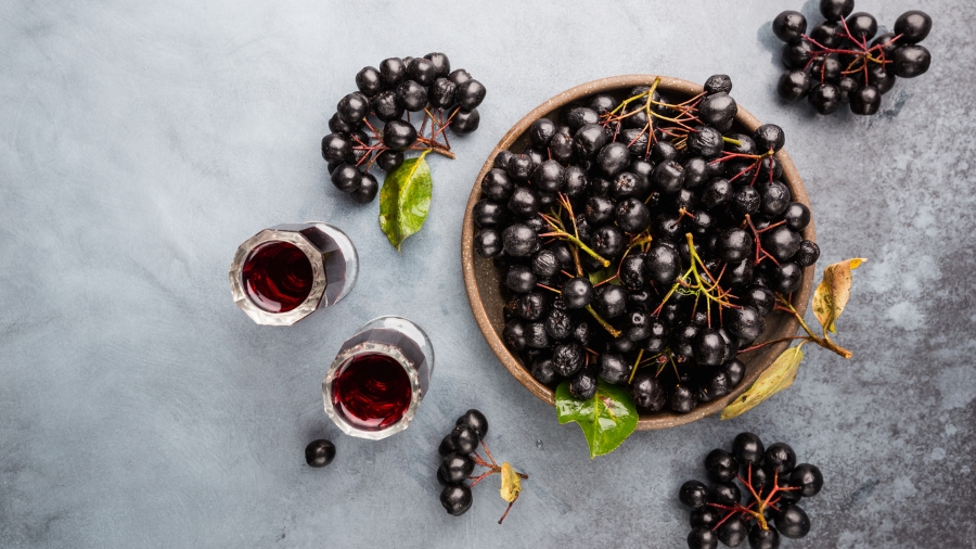 Aronia - właściwości i zastosowanie