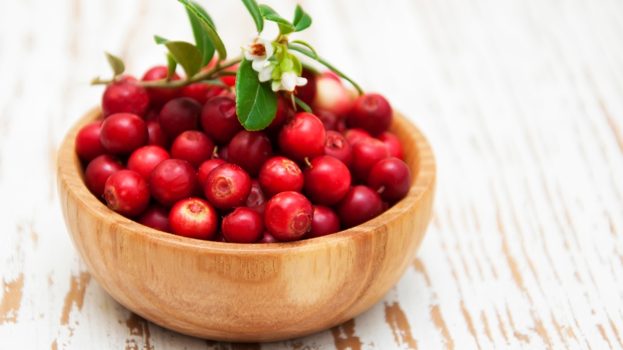 Żurawina - jakie ma właściwości i przeciwwskazania, jak ją jeść? | iZielnik.pl